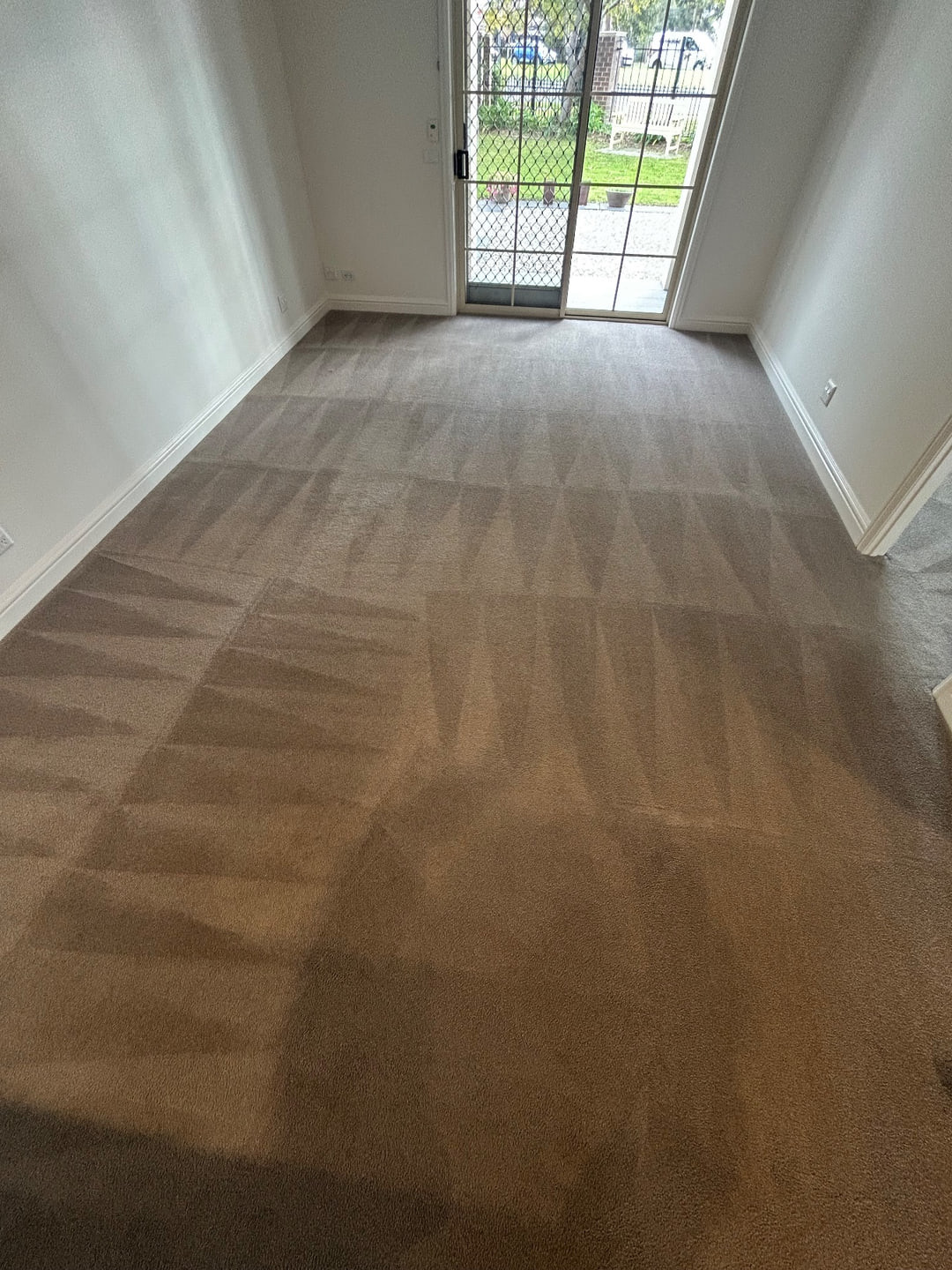 Clean carpet through a bright apartment room and doorway